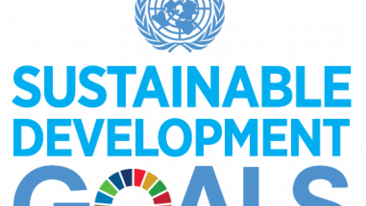 SDG logo